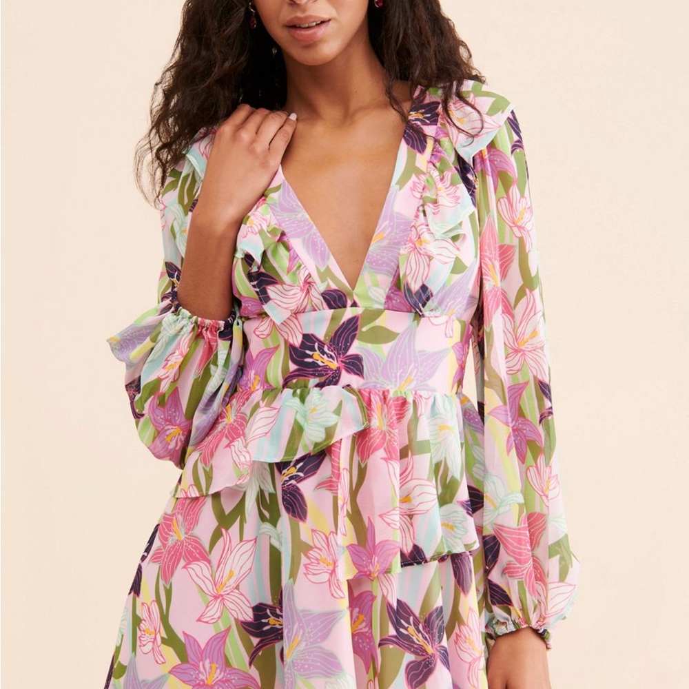 Hutch Multicolor Floral V-Neck Dress